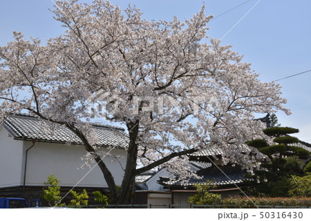 【滋賀県　東近江市】五箇荘金堂の町並み 50316430