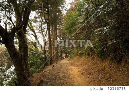 佐倉城の風景 佐倉城の風景 50316753