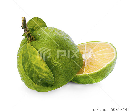 lime citrus fruit (lime cut) isolated on white lime citrus fruit (lime cut) isolated on white 50317149