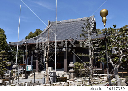 中村公園常泉寺 50317389