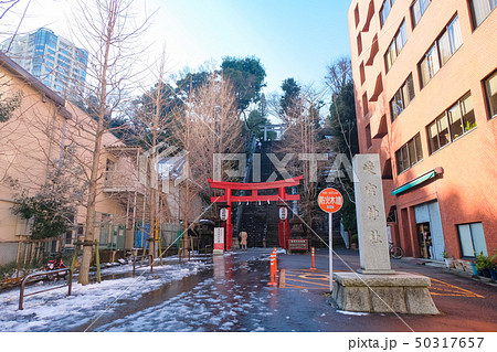 雪の愛宕神社 出世の石段 雪の愛宕神社 出世の石段 50317657
