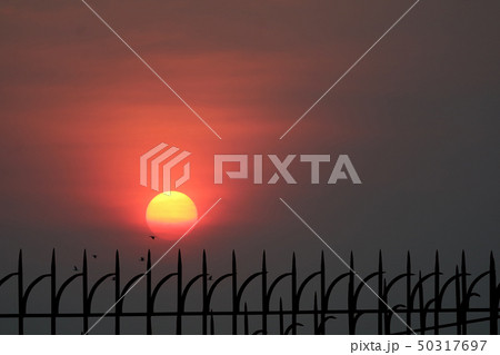 last light of sunset back silhouette metal fence last light of sunset back silhouette metal fence 50317697