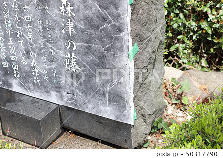 拓本の作業 50317790