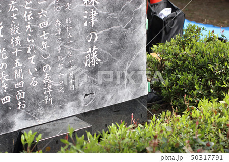 拓本の作業 50317791