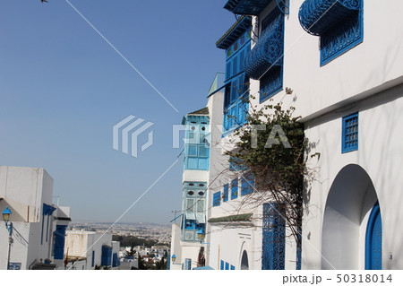 シディ・ブ・サイドの町並み チュニジア チュニス アフリカ シディ・ブ・サイドの町並み チュニジア チュニス アフリカ 50318014