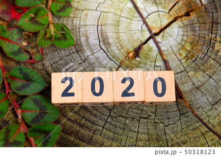 2020 2020 50318123
