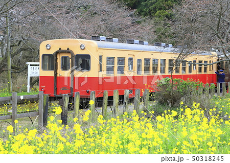 春の小湊鉄道 月崎駅(つきざきえき) 春の小湊鉄道 月崎駅(つきざきえき) 50318245