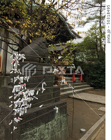 御田八幡神社 おみくじ 御田八幡神社 おみくじ 50318495