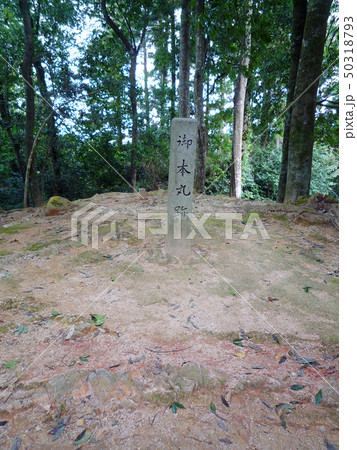 吉田郡山城　100名城 50318793