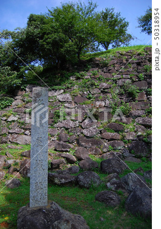 名護屋城　100名城 50318954