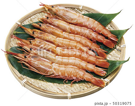 赤エビ01(切抜きパス付) 赤エビ01(切抜きパス付) 50319075