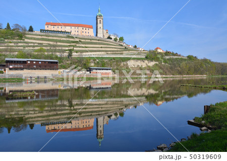 チェコの古城とラベ川 - ムニェルニーク、チェコ 50319609