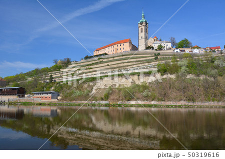 チェコの古城とラベ川 - ムニェルニーク、チェコ 50319616