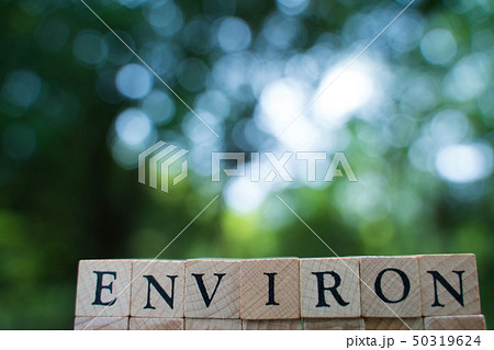 environ environ 50319624