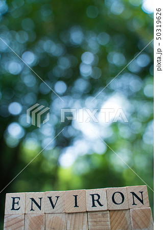 environ environ 50319626