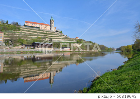 チェコの古城とラベ川 - ムニェルニーク、チェコ 50319645