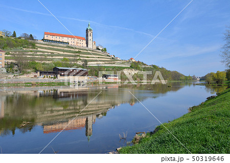チェコの古城とラベ川 - ムニェルニーク、チェコ チェコの古城とラベ川 - ムニェルニーク、チェコ 50319646