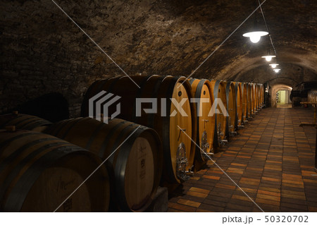 地下のワイン蔵 - チェコ 地下のワイン蔵 - チェコ 50320702