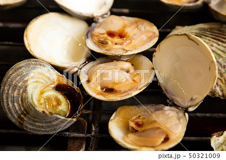 ハマグリ 50321009