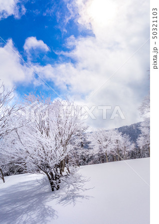 厳冬期の氷ノ山！大屋町避難小屋から三の丸方面を見る！（鳥取県八頭郡若桜町）※作品コメント欄に撮影位置 50321103