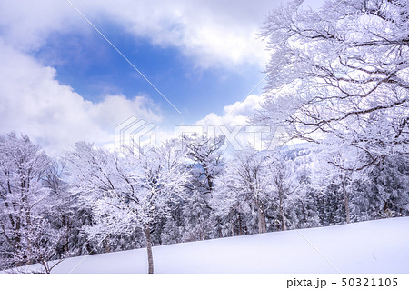 厳冬期の氷ノ山!大屋町避難小屋から三の丸方面を見る!(鳥取県八頭郡若桜町)※作品コメント欄に撮影位置 厳冬期の氷ノ山!大屋町避難小屋から三の丸方面を見る!(鳥取県八頭郡若桜町)※作品コメント欄に撮影位置 50321105