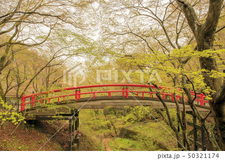 伊香保温泉 河鹿橋 新緑 伊香保温泉 河鹿橋 新緑 50321174