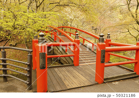 伊香保温泉 河鹿橋 新緑 伊香保温泉 河鹿橋 新緑 50321186