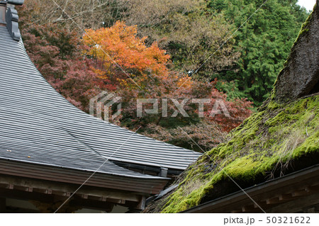 鳥取 四季の散歩 秋 紅葉 豊乗寺 鳥取 四季の散歩 秋 紅葉 豊乗寺 50321622