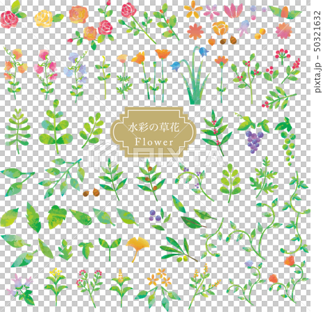 Watercolor flower set Watercolor flower set 50321632