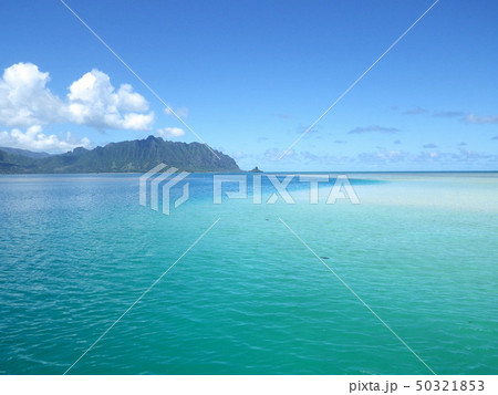 コバルト色の海 50321853