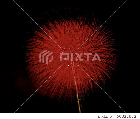 秋の花火大会 50322932