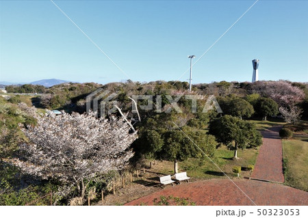 いわき市三崎公園のいわきマリンタワー 50323053