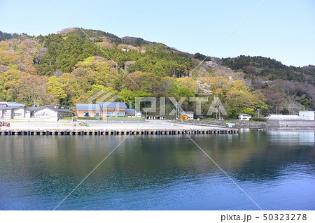 粟島にある内浦港 50323278