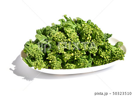 なばな(菜花) なばな(菜花) 50323510