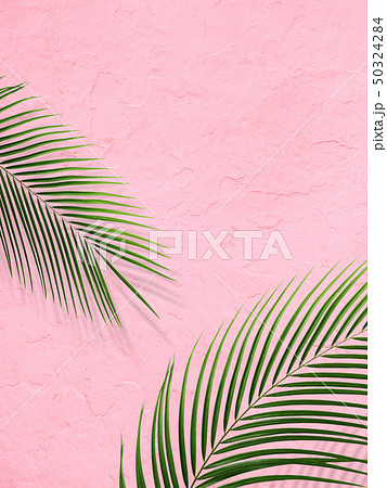背景 南国 夏 ビーチ ピンクのイラスト素材