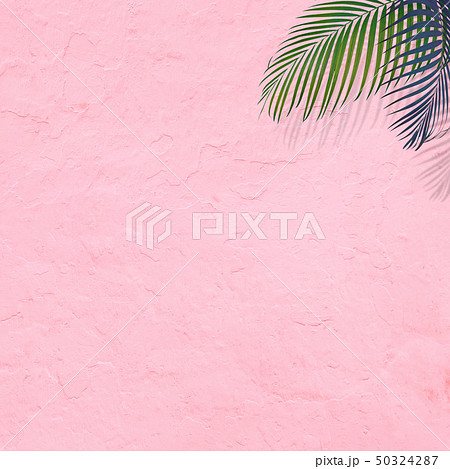 背景 南国 夏 ビーチ ピンクのイラスト素材