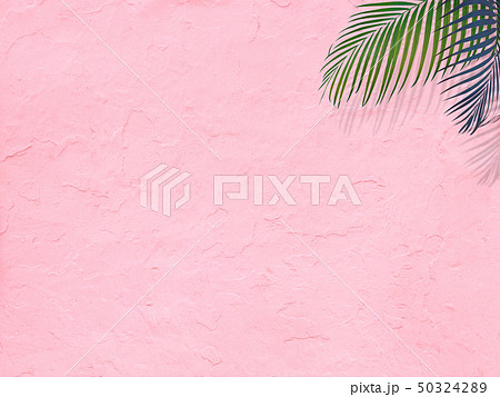 背景 南国 夏 ビーチ ピンクのイラスト素材