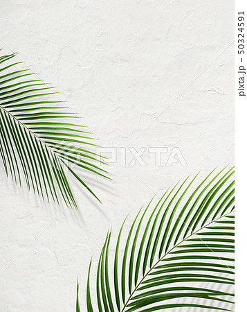 背景-南国-夏-ビーチ-白壁 50324591