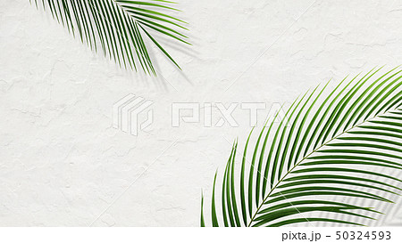 背景-南国-夏-ビーチ-白壁 背景-南国-夏-ビーチ-白壁 50324593