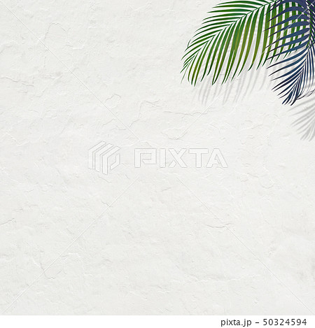 背景-南国-夏-ビーチ-白壁 50324594