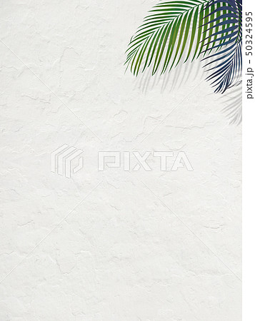 背景-南国-夏-ビーチ-白壁 50324595