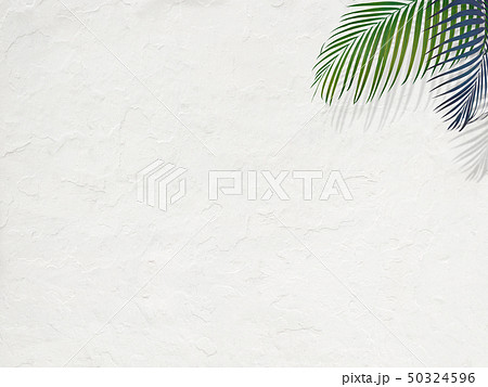 背景-南国-夏-ビーチ-白壁 50324596