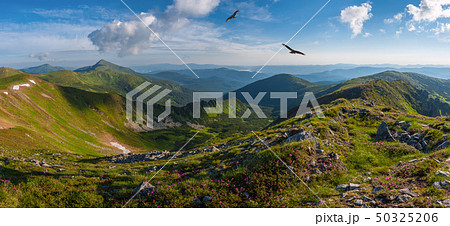 Majestic sunrise in summer mountains Majestic sunrise in summer mountains 50325206