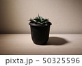 トゲトゲ 50325596