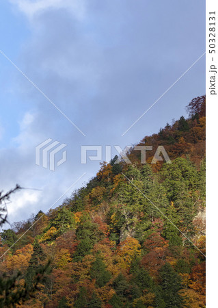 白川郷 光り輝く紅葉 白川郷 光り輝く紅葉 50328131