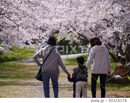 桜の下を家族で散歩 50328178