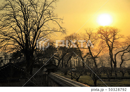 慶州歴史遺跡地区付近/慶州校村マウルの夕景 【韓国・慶州】 慶州歴史遺跡地区付近/慶州校村マウルの夕景 【韓国・慶州】 50328792