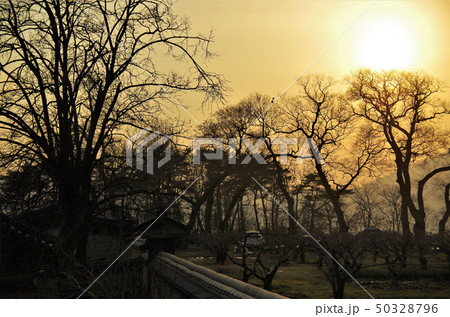 慶州歴史遺跡地区付近/慶州校村マウルの夕景 【韓国・慶州】 慶州歴史遺跡地区付近/慶州校村マウルの夕景 【韓国・慶州】 50328796