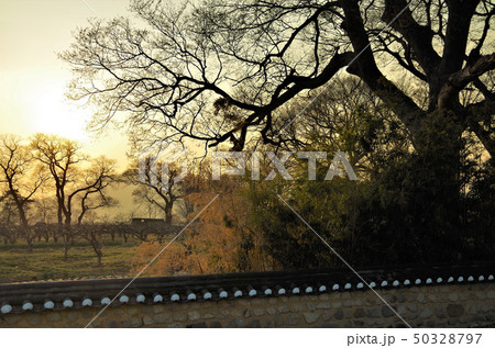 慶州歴史遺跡地区付近/慶州校村マウルの夕景 【韓国・慶州】 50328797