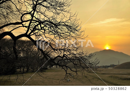 世界遺産・慶州歴史遺跡地区/古墳公園付近の夕景 【韓国・慶州】 世界遺産・慶州歴史遺跡地区/古墳公園付近の夕景 【韓国・慶州】 50328862